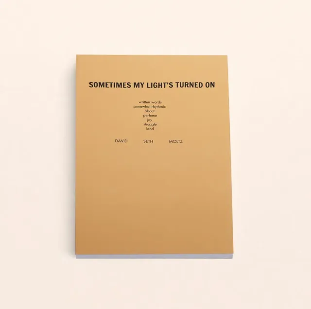DS&DURGA Sometimes My Light's Turned On bok dikt