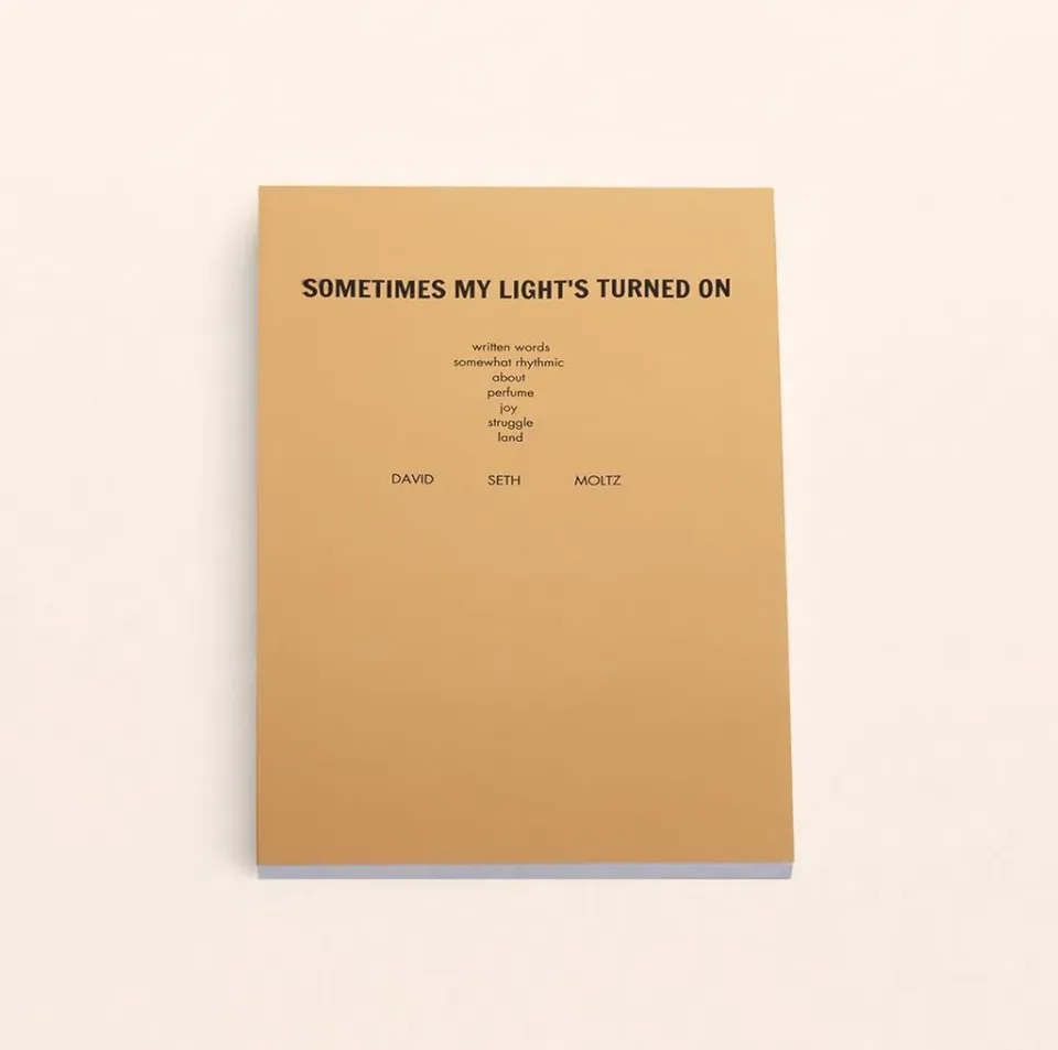 DS&DURGA Sometimes My Light's Turned On bok dikt