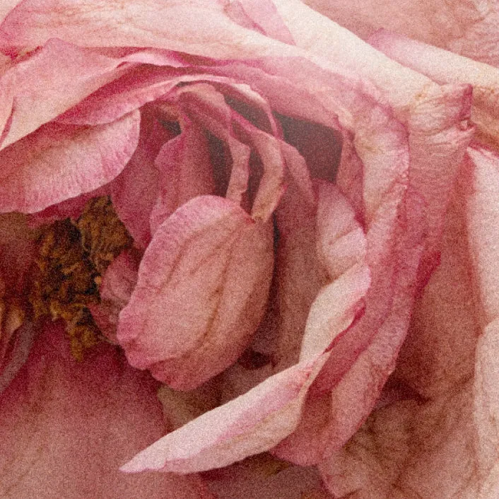 D.S. & Durga Rose Atlantic parfymeolje 10 ml saltvann