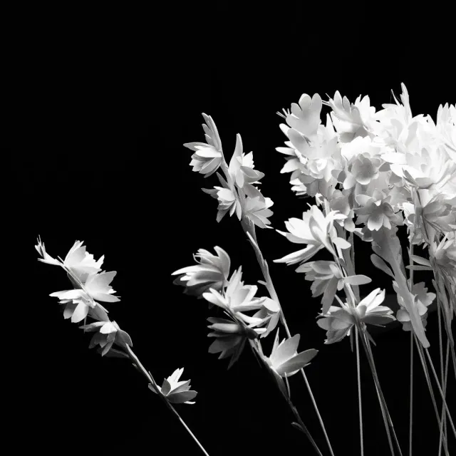 Marc Antoine Barrois Tuberose Paper Flower papirblomst 20 cm hvit
