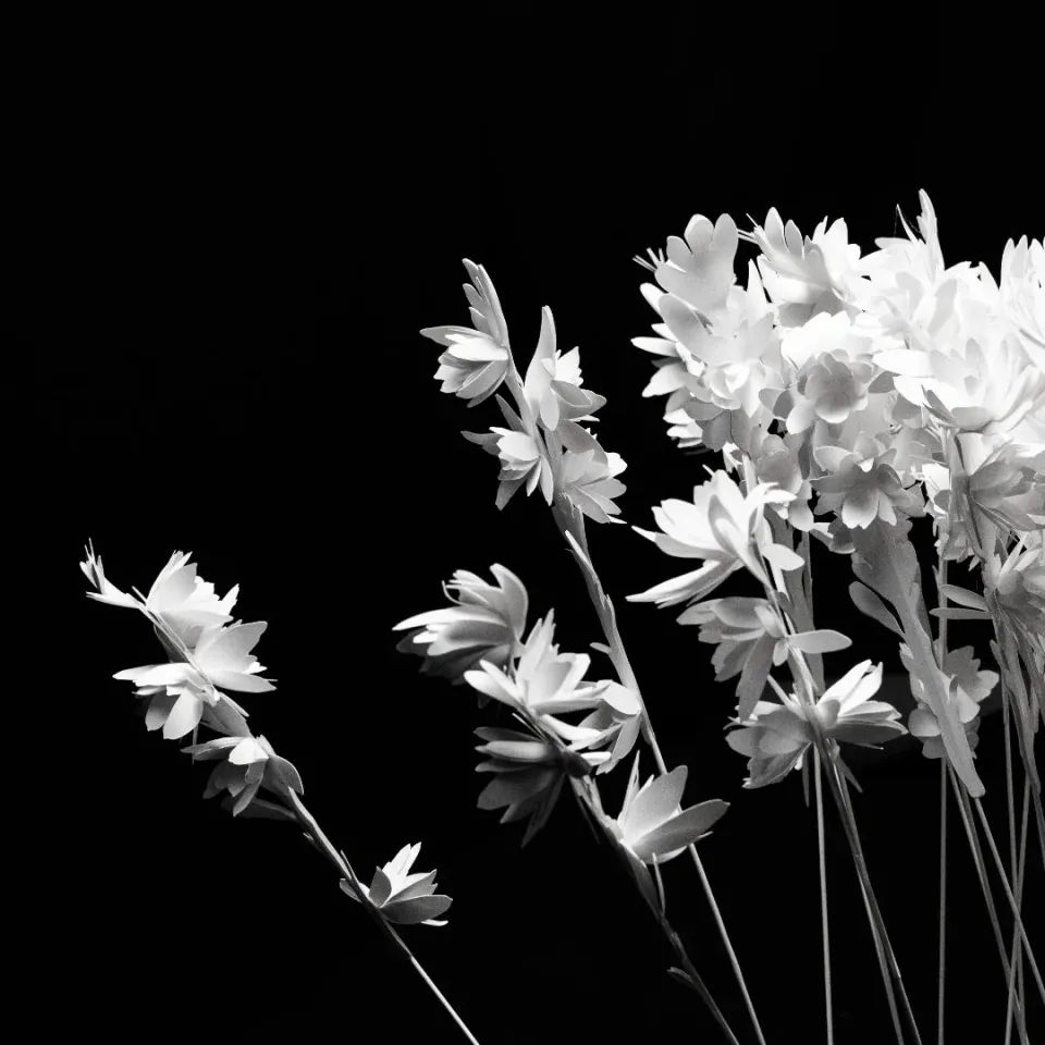 Marc Antoine Barrois Tuberose Paper Flower papirblomst 20 cm hvit